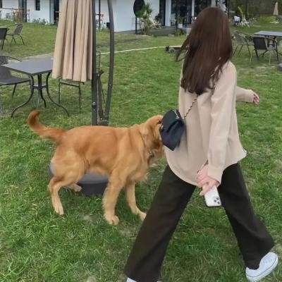 地狱来的芳邻